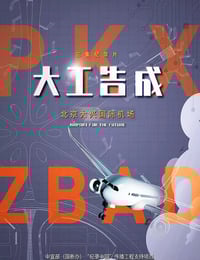 2020年国产大陆纪录片《大工告成——北京大兴国际机场》全3集