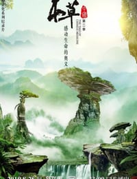 2019年国产大陆纪录片《本草中国 第二季》全12集