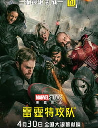 2025年美国6.8分动作片《雷霆特攻队*》HD中英双字