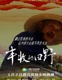 2022年国产大陆电视剧《丰收的田野》全3集