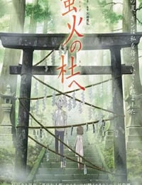 2011年日本经典动画片《萤火之森》蓝光日语中字