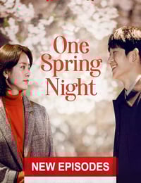 2019年韩国电视剧《春夜》全16集