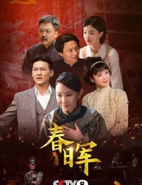 2025年国产大陆电视剧《春晖》连载至04