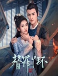 2025年国产大陆电视剧《替罪丫鬟》连载至04