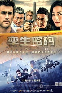 [孪生密码][1280HD-RMVB][国语中字][豆瓣3.1分][942MB][2013]