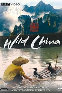 [美丽中国][1-6集全][BD-720P-MKV][国粤英三语][豆瓣9.3分][1022MB][2008]