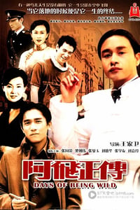 [阿飞正传][BD-720P-MKV][国粤双语中字][豆瓣7.9分][3.0GB][1990]