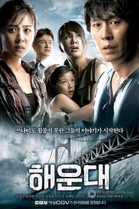 [海云台][BD-720P-RMVB][韩语中字][豆瓣6.7分][1.4GB][2009]