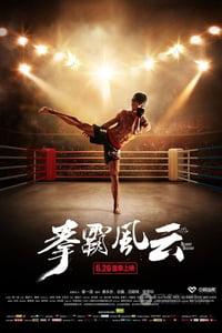 [拳霸风云][HD-720P/1080P-MP4][国语中字][豆瓣3.1分][1.8GB/2.1GB][2015]