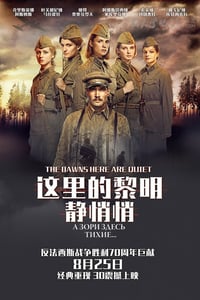 [这里的黎明静悄悄][HD-720P/1080P-MP4][俄语中字][豆瓣7.6分][2.1GB/4.2GB][2015]