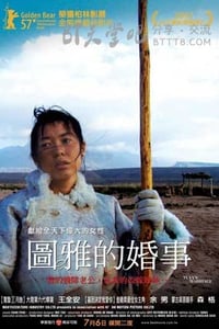 [图雅的婚事][DVD-AVI][国语中字][豆瓣7.9分][700MB][2006]