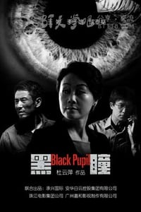 [黑瞳][HD-720P/1080P-MP4][国语中字][豆瓣3.3分][2.4GB/5.9GB][2015]