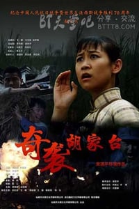 [奇袭胡家台][HD-720P/1080P-MP4][国语中字][1.6GB/3.9GB][2015]