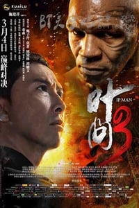 [叶问3][BD-720P/1080P-MP4][粤国双语中字][豆瓣6.4分][2.3GB/5.4GB][2015]