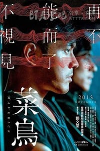 [菜鸟][DVD-MP4][国语中字][豆瓣5.7分][2.0GB][2015]