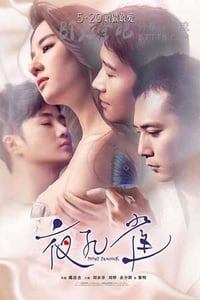 [夜孔雀][HD-720P/1080P/2160P-MP4][国语中字][豆瓣5.3分][1.7GB/1.9GB/3.6GB][2015]