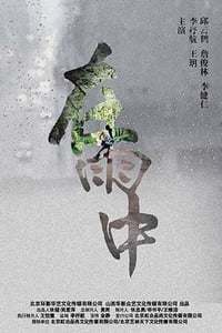 [在雨中][HD-1080P-MP4][国语中字][豆瓣3.8分][2.0GB][2016]