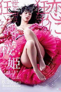 [樱姬][DVD-MP4][日语中字][豆瓣4.4分][1.6GB][2013]