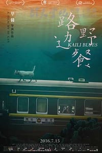 [路边野餐][BD-720P/1080P-MP4][贵州方言中字][豆瓣7.7分][4.37GB/3.91GB][2016]