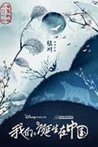 [我们诞生在中国][BD-720P/1080P-MP4][英语中字][豆瓣8.0分][1.84GB/4.17GB][2016]