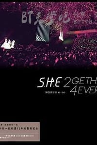 [SHE演唱会2013.2gether 4ever演唱会台北小巨蛋影音馆][HD-720P-MP4][中字][3.1GB][2013]