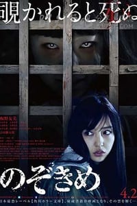 [窥视之眸][BD-720P/1080P-MP4][日语中字][豆瓣4.9分][2.0GB/4.2GB][2016]