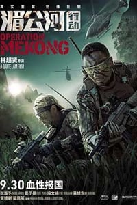 [湄公河行动][BD-720P/1080P-MKV][国语中字][豆瓣8.0分][2.59GB/9.17GB][2016]