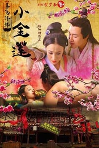 [喜气洋洋小金莲][HD-720P-RMVB][国语中字][豆瓣3.5分][1.09GB][2015]