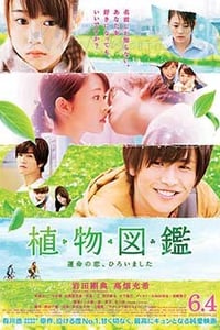 [植物图鉴][BD-720P-MP4][日语中字][豆瓣6.2分][1.49GB][2016]