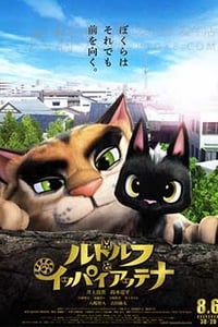 [黑猫鲁道夫][BD-720P-MP4][国日双语中字][豆瓣6.2分][2.53GB][2016]