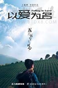 [以爱为名][HD-1080P-MKV][国语中字][1.27GB][2017]