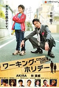 [完美假日][DVD-MKV][日语中字][豆瓣6.1分][1.01B][2012]