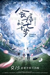 [会痛的十七岁][HD-1080P-MP4][国语中字][豆瓣3.1分][1.05GB][2017]