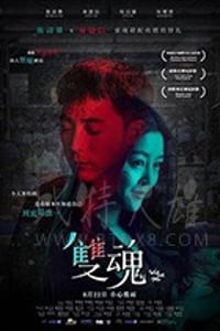 [双魂][BD-720P/1080P-MP4][粤语中字][豆瓣6.1分][1.36GB/2.95GB][2019]