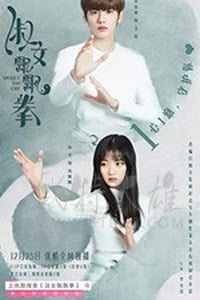 淑女飘飘拳/豆瓣6.9分/2019/全集