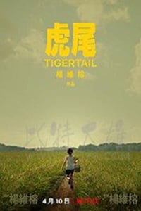 [虎尾][HD-720P/1080P-MP4][国语中字][豆瓣5.3分][2.11GB/5.17GB][2020]