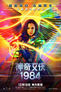 2020年欧美6.5分动作片《神奇女侠1984》BD国英双语中英双字