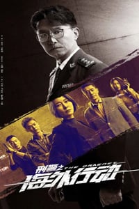 2021年国产大陆电视剧《刑警之海外行动》全38集