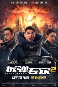 2020年国产刘德华刘青云动作犯罪片《拆弹专家2》BD国粤双语中字