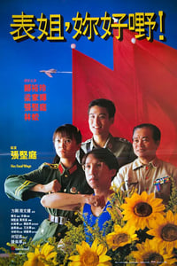 1990年中国香港经典喜剧片《表姐，你好嘢！》BD国粤双语中字