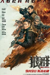 2022年国产6.1分动作战争片《狼群》4K国语中字