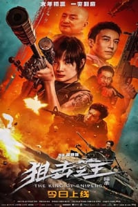 2023年国产动作犯罪片《狙击之王：暗杀》HD国语中字