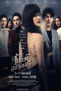 2019年泰国电视剧《吹落的树叶》全21集