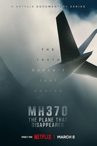 2023年美国电视剧《MH370：消失的航班》全3集