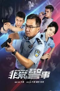 2023年国产大陆电视剧《非常警事》全24集