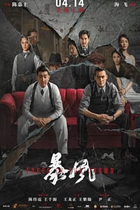 2023年国产动作悬疑片《暴风》HD国语中字