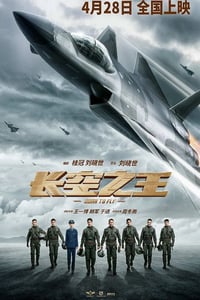 2023年国产6.6分动作片《长空之王》BD国语中字