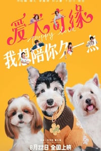 2023年国产爱情片《爱犬奇缘》HD国语中字