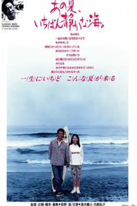 1991年日本经典爱情片《那年夏天，宁静的海》蓝光日语中字