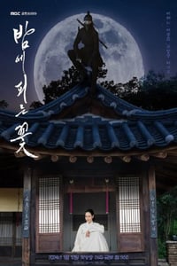 2024年韩国电视剧《夜晚开的花》全12集